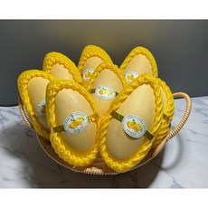 정심푸드망고