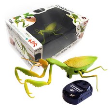 무선조종사마귀