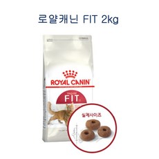 로얄캐닌 피트 어덜트 고양이 사료, 1개, 2kg - 로얄캐닌어덜트