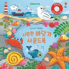 Usborne우리 아기 오감발달 시원한 바닷가 사운드북, 어스본코리아, 샘 태플린 글/페데리카 아이오사 그림