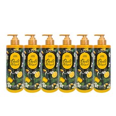 케라시스 데빌스 퍼퓸 시트러스 번지 린스, 6개, 600ml