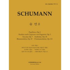 일송미디어슈만