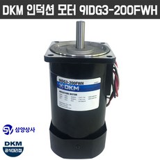 DKM 인덕션 모터 9IDG3-200FWH 삼상 220V 12파이 감속기타입