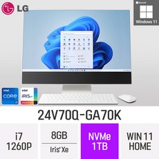 lg일체형pc27인치 TOP01