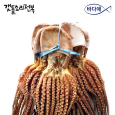 완도 마른문어 대형1마리, 1개