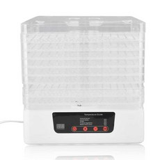 짤순이다짜고짜