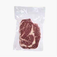 600업소용진공포장기