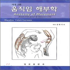 움직임해부학