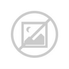 [일본정품수입]황동 제금 도금 盃 3.5치수 단판 (1203) &lt;br&gt; [취소·변경·반품 불가], 1개, 한개옵션1
