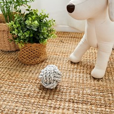 모던하우스모래놀이트럭