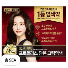 리엔 흑모비책 프로폴리스 담은 크림 염색제 새치용 12회분, 흑갈색, 9개