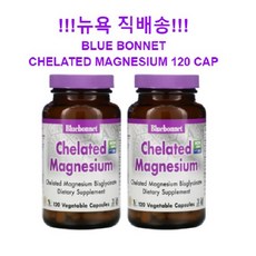 1+1 Bluebonnet Nutrition 블루보넷 마그네슘 베지 캡슐 120정 2병, (1+1) 120정 2병, 2개