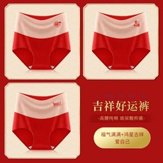 홍성파자미두수육조론