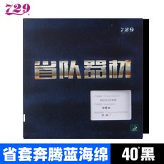 굿앤리치스토어 729 내달리다 2성급 팀 커버 절약함 가죽 점성 반 스펀누케이스 호 권 속공형, [블루 스폰지 ]40 헤아리다 블랙