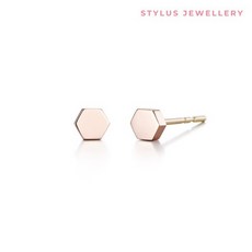 골든듀트윙클귀고리