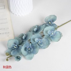 필름카메라현상기