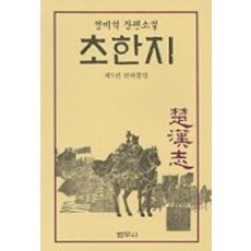 김홍신초한지