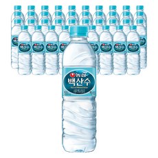 백산수 생수 500mlx40PETKKR, 500ml