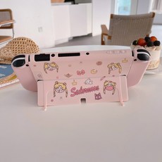 닌텐도스위치커스텀