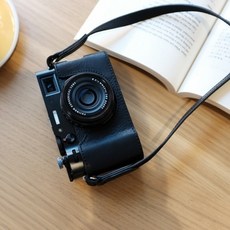 림즈케이스x100v