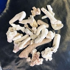 22f42b85a863676d29035e71cd700cfea43d36e72cff39e23a65470bf744.jpg