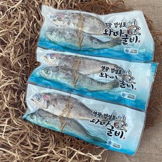 와따굴비