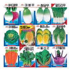 청방배추