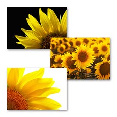 4e0334c680a3ae27dd86ac602d8c98f080e50b5ff83a49e3142974de69ad.jpg