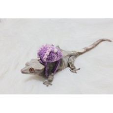 뜨개코할미 크레가방 크레스티드게코가방 뜨개가방 뜨개백팩 도마뱀가방 도마뱀뜨개가방 도마뱀소품 뜨개코할미, 카키, 1개