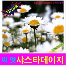 d49a47de072b8382e926115dffebd0049c34aca7034fce305416a8e12e4a.png