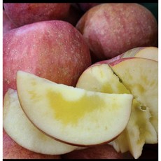 사과 유명한 곳 경북 홈골농원 꿀 사과 가정용 한박스 10kg, 1개