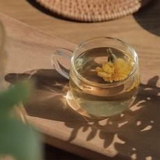 자주스프링내열잔