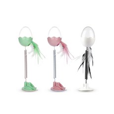 리스펫꼬리잡기