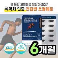 전립선에좋은약