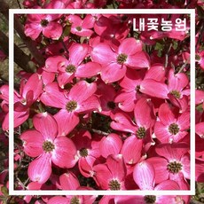 1e8bf57b91145cac5803cf793560c8b861652bdc8af78bbac94ee66a3bb3.jpg