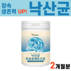 모종삼일파라뷰