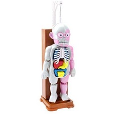 STOBOK 할로윈 인체 해부학 모델 플라스틱 인간 장기 조립 장난감 장난 어린이를위한 무서운 장난감 선물, One Color_One Size, One Color_One Size, One Color