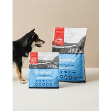 빠른배송 [오리젠] DOG 오리지날 2종 택1 2kg/6kg 293094, [오리젠] DOG 오리지날 독 2kg, 2kg, 1개 - 오리젠피트앤트림독