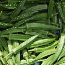 강진농장 해남 생 오크라 1kg okra, 1개