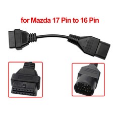 다그플러스