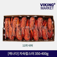 바이킹마켓 자숙랍스터 (Box), 1box, 350-400g / 12미내외