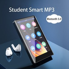 pmp5인치