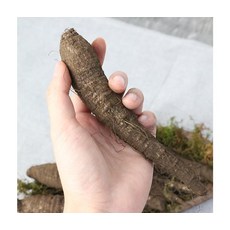 자연재배 무농약 제주도 검은 흙 더덕 1kg, ONE COLOR, ONE SIZE