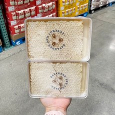 사바나비 로우 아카시아 허니콤 벌집 꿀 350gx2, 옵션없음, 옵션없음