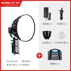 포르자60