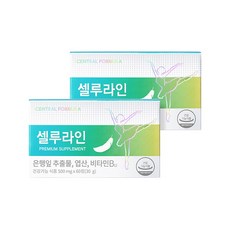 [센트럴팜] [센트럴포뮬러] 셀루라인 프리미엄 60정 X2개 / 혈행개선