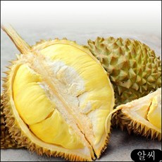 //상품명