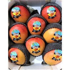 차칸유통 특가판매 페루 애플 망고 4Kg 프리미엄 특상과 한상자 7과에서 10과 랜덤발송, 항공직송 페루 애플망고 4Kg  7~10과