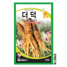 더덕 1000립 / 더덕씨앗 더덕씨 종자 토속나물 뿌리채소씨앗