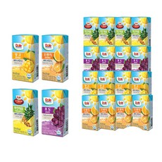 Dole 돌주스 프리미엄 100% 과즙주스 120ml 파인애플4+포도4+망고4/총12팩/, 1개
